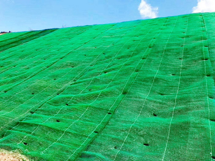 3D Vegetation Net Slope Protection Project